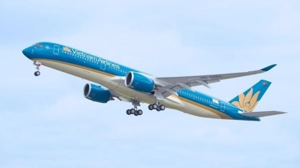 Quả vải "cưỡi" máy bay Vietnam Airlines đi muôn nơi; xuất khẩu rau quả có thể xác lập kỷ lục mới