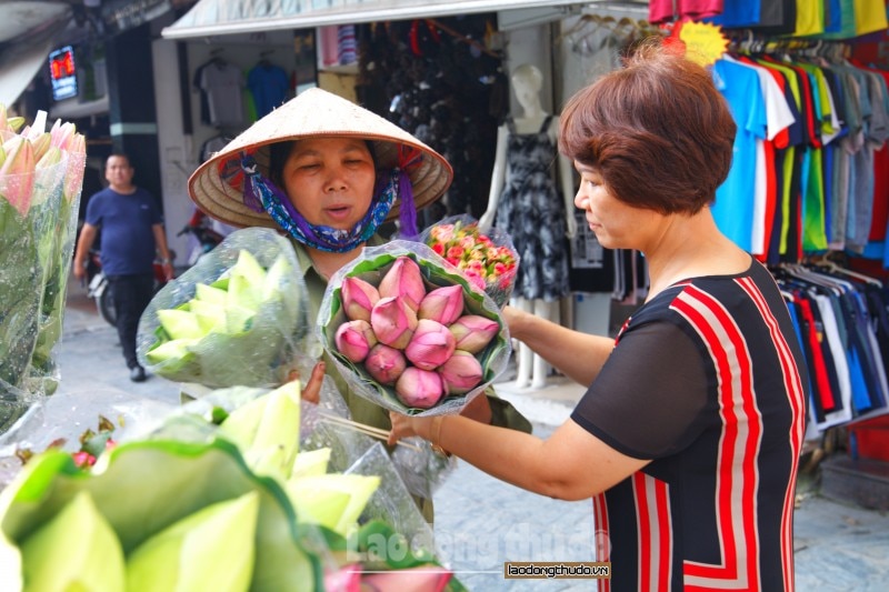 sen da u mu a xuo ng pho khoe sac khap duong pho ha noi