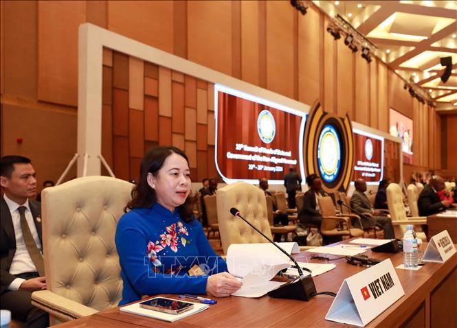 Vietnam strengthens solidarity in a divided world image 1