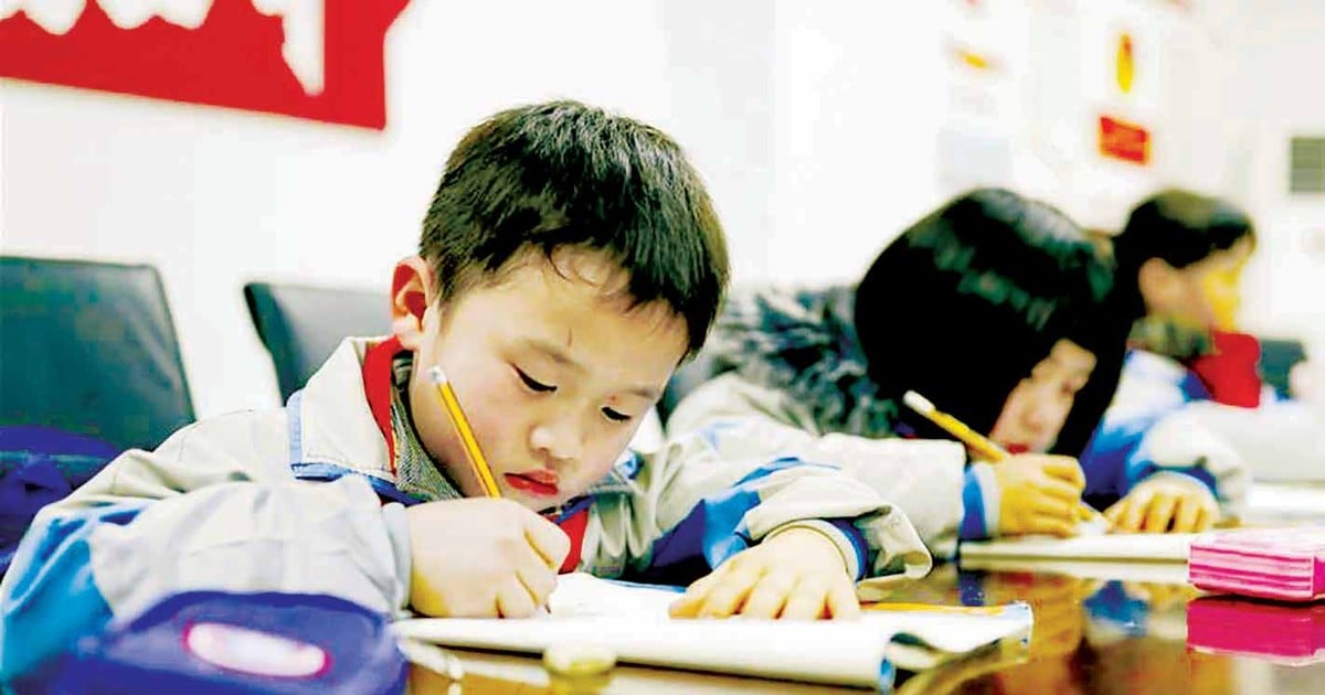 China cracks down on illegal tutoring