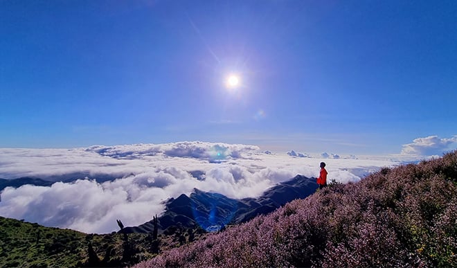 À la conquête du paradis des nuages ​​sur le pic Ta Chi Nhu à Yen Bai