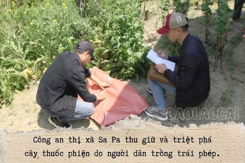 a4.jpg