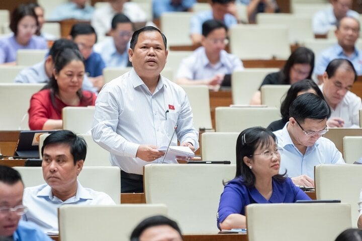 លោក Nguyen Duy Thanh គណៈប្រតិភូរដ្ឋសភាខេត្ត Ca Mau (រូបថត៖ Quochoi.vn)