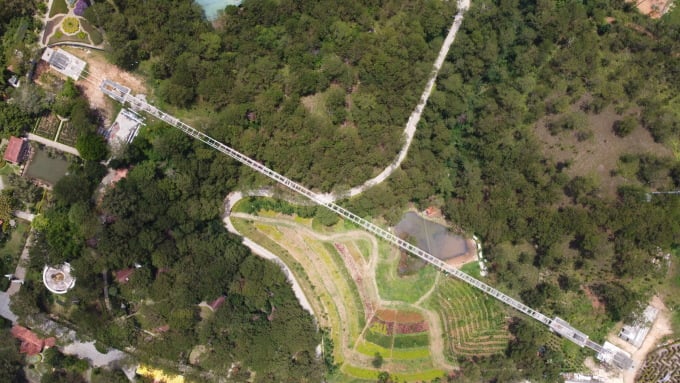 Puente de cristal visto desde arriba, mayo de 2023. Foto: Chau Hoang