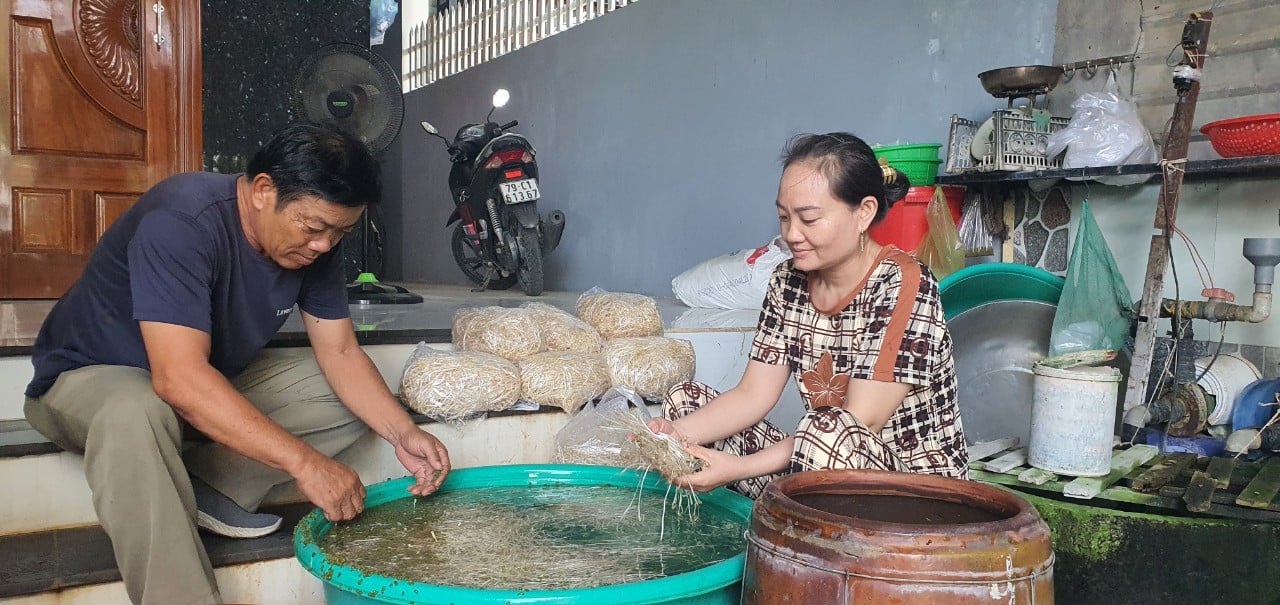 Cho một loại hạt mọc mầm chi chít trong lu, chị em phụ nữ ở Khánh Hòa thu tiền rủng rỉnh- Ảnh 3.