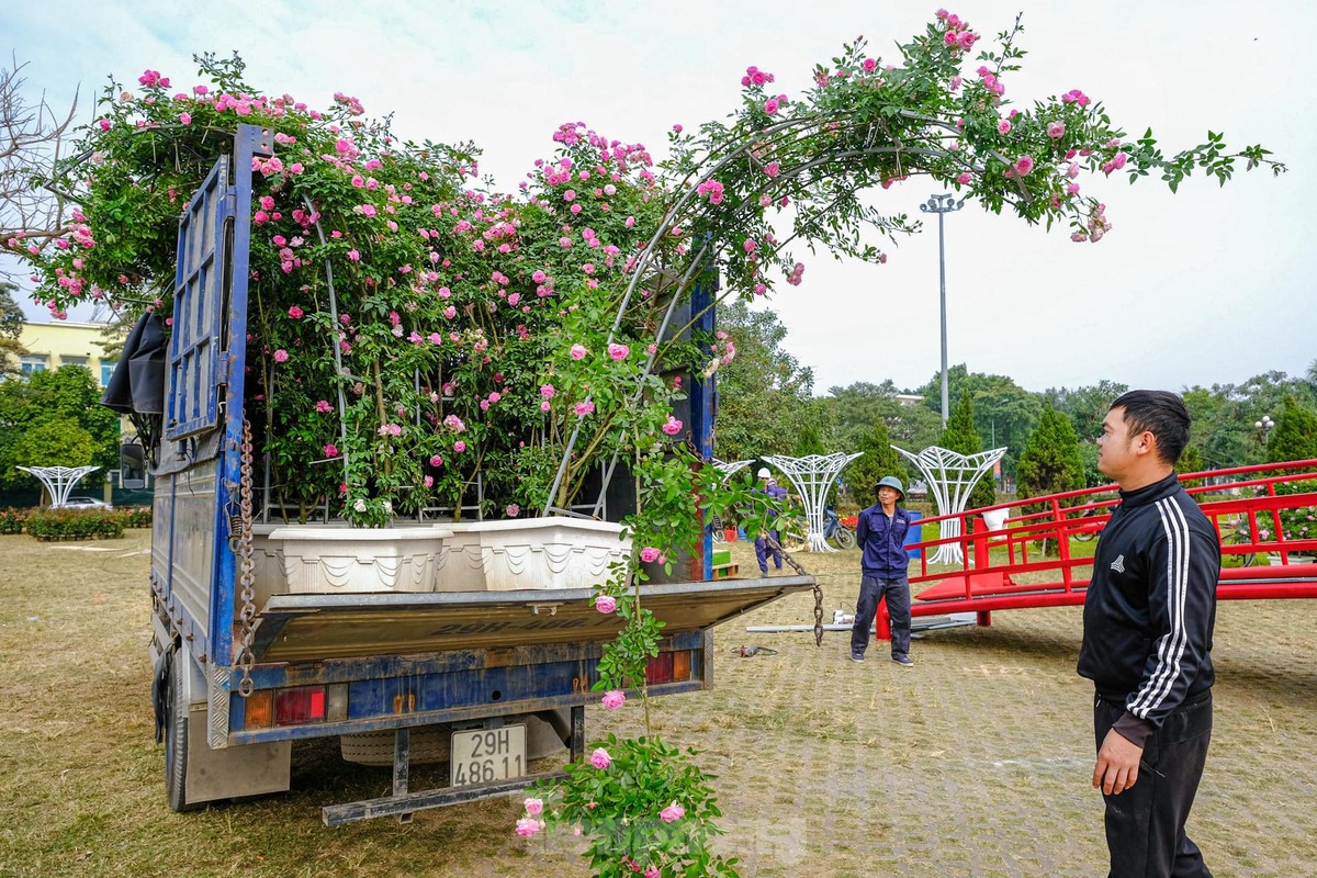 Ngàn hoa Xuân khoe sắc tại lễ hội hoa lớn nhất miền Bắc ảnh 6