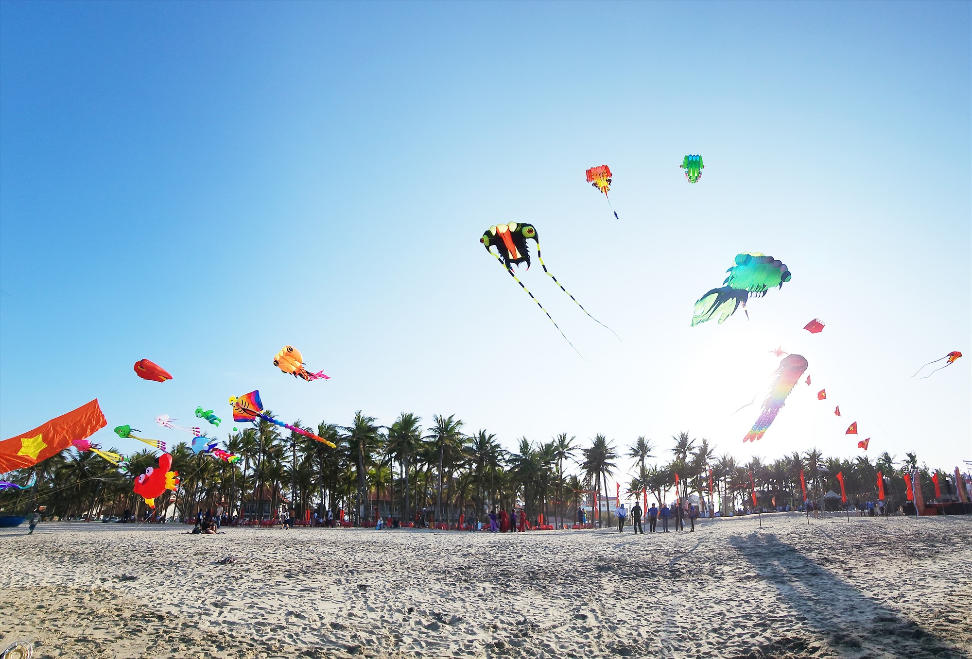 Cua Dai Beach gradually restores its beauty. Photo: Q.T