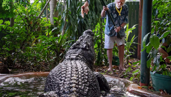 World's largest captive crocodile dies at age 110