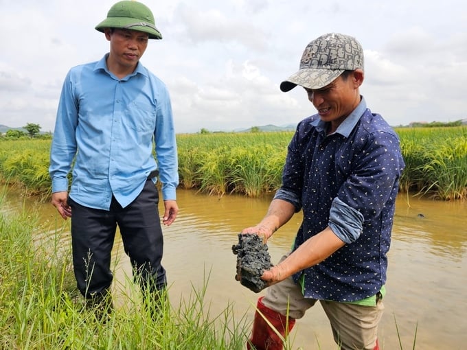 Anh Nguyễn Văn Thái - Giám đốc Trung tâm Ứng dụng KHKT và Bảo vệ cây trồng vật nuôi huyện Kỳ Anh (bên trái) luôn đồng hành cùng bà con làm nông nghiệp hữu cơ ở Kỳ Anh. Ảnh: Hoàng Anh.