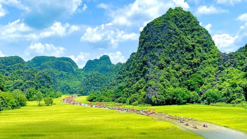 Los hermosos campos de arroz dorado de Tam Coc cautivan a los turistas.