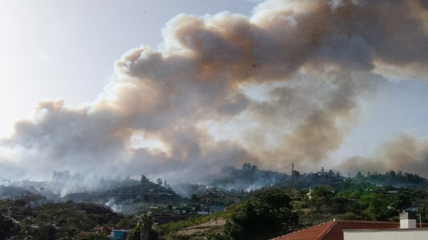 Cháy rừng tại đảo La Palma, hàng nghìn người sơ tán