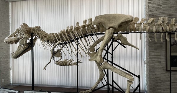 Una universidad en Japón establece un nuevo departamento dedicado a la investigación de dinosaurios.