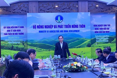 Tưng bừng giải chạy S-Race Hải Phòng “Vì tầm vóc Việt” ảnh 2