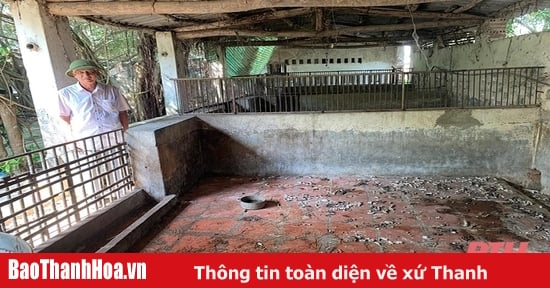 Người chăn nuôi không mặn mà tái đàn