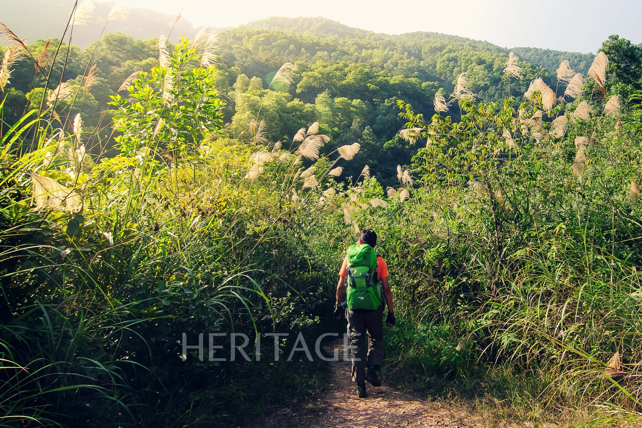 Núi Hàm Lợn - thiên đường trekking ở ngoại thành Hà Nội