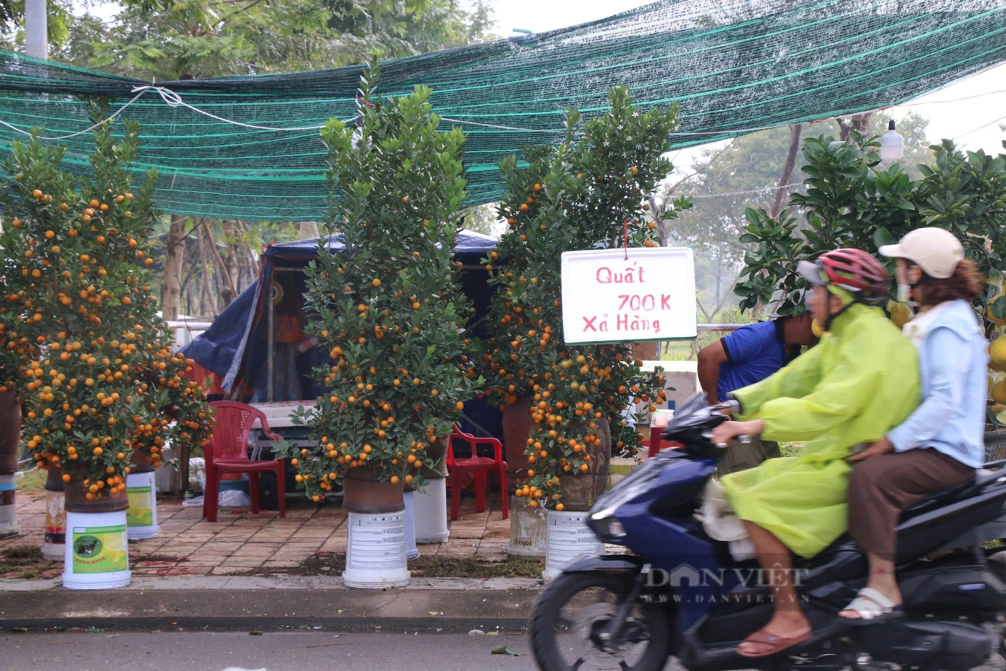 29 Tết, thương lái đồng loạt 