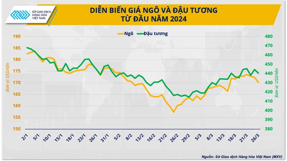 Thị trường nông sản chờ đón gì trước 2 báo cáo quan trọng của Bộ Nông nghiệp Mỹ?