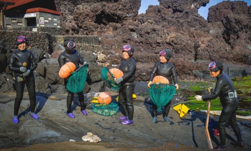 Plongée avec les « sirènes » sur l'île de Jeju