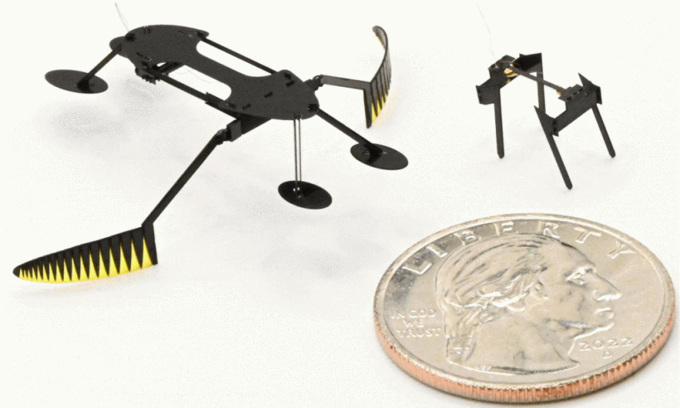 Robot WaterStrider et MiniBug à côté d'une pièce de monnaie. Photo : Bob Hubner/WSU