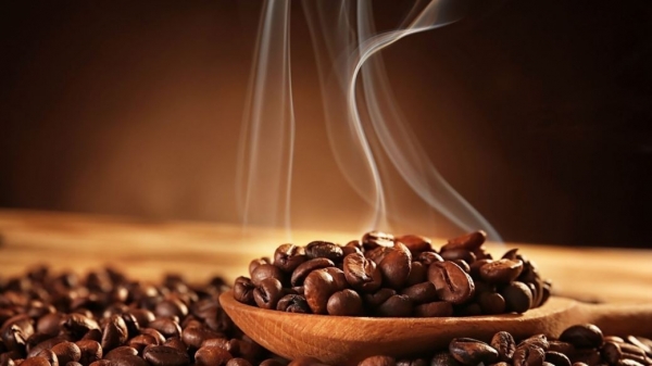 Los precios del café Robusta siguen aumentando, a nivel nacional hasta 67.000 VND/kg, ¿continuará el aumento de precios?