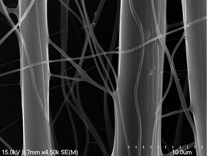 Fibre de nanochitosane avec réticulation à partir de carapace de crevette. Photo : Équipe de recherche