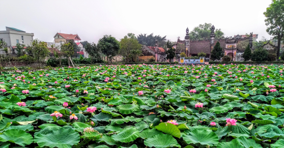 Was ist das Besondere an den beiden neu anerkannten Touristengebieten auf Stadtebene in Hanoi?