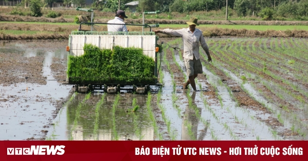 Tay Ninh Agricultural Cooperative: Driving force for sustainable agricultural and rural development