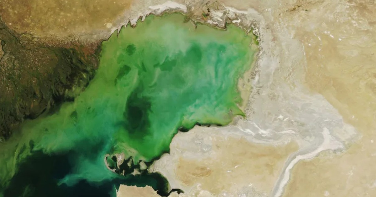 'Red alert' at world's largest lake