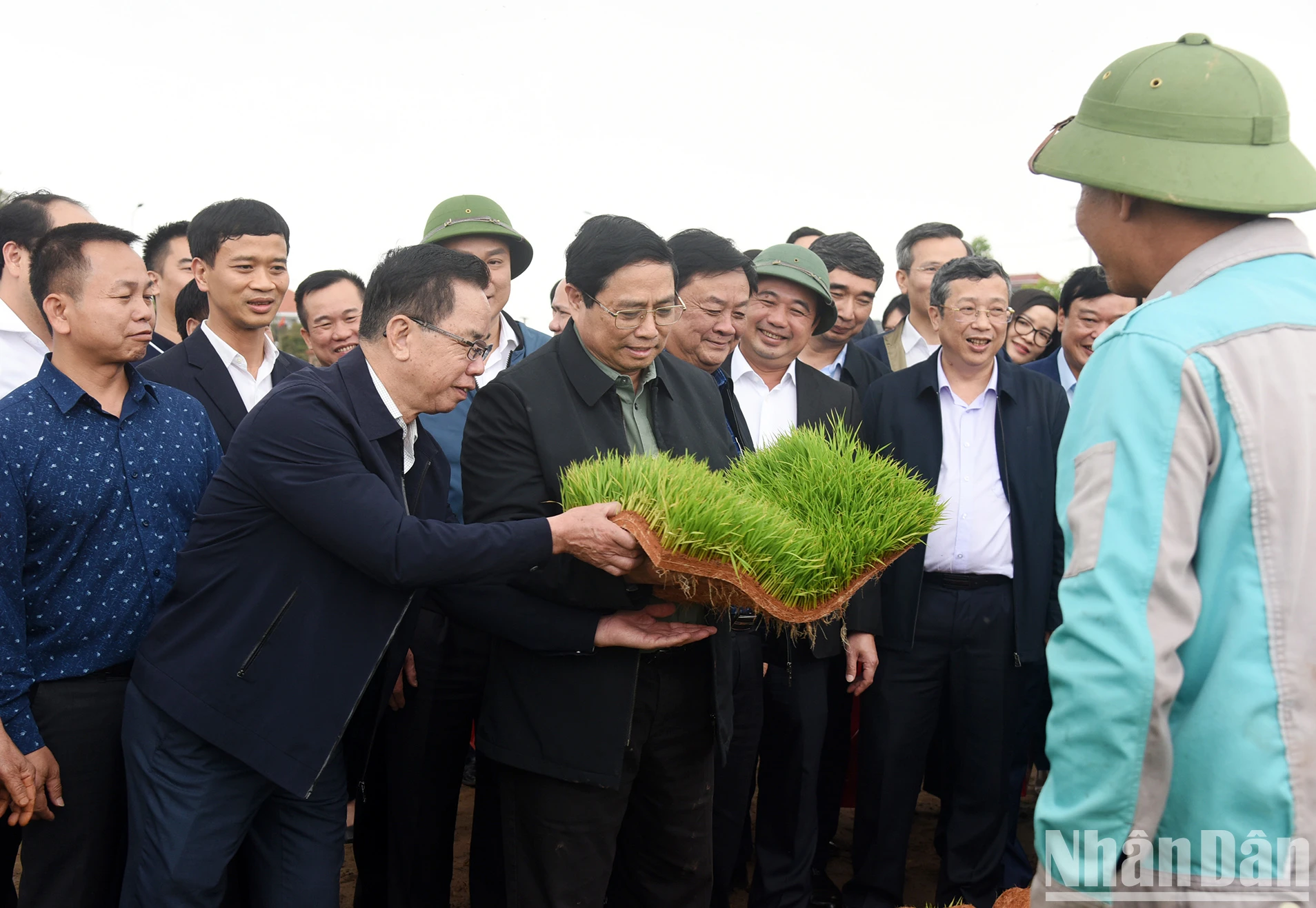 [사진] 총리, 농가와 함께 밭으로 가서 파종·수확하며 농업 생산 독려 사진 1