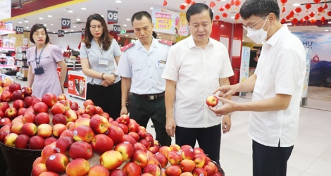 Đấu tranh với những sai phạm về an toàn thực phẩm