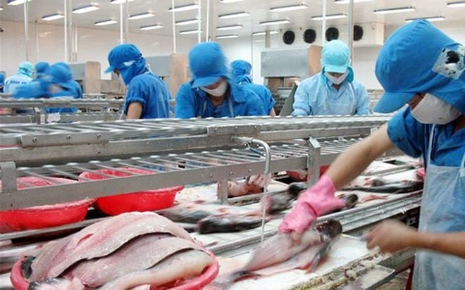 Las ganancias de Vinh Hoan VHC cayeron un 51% en los ingresos por exportaciones en octubre de 2018