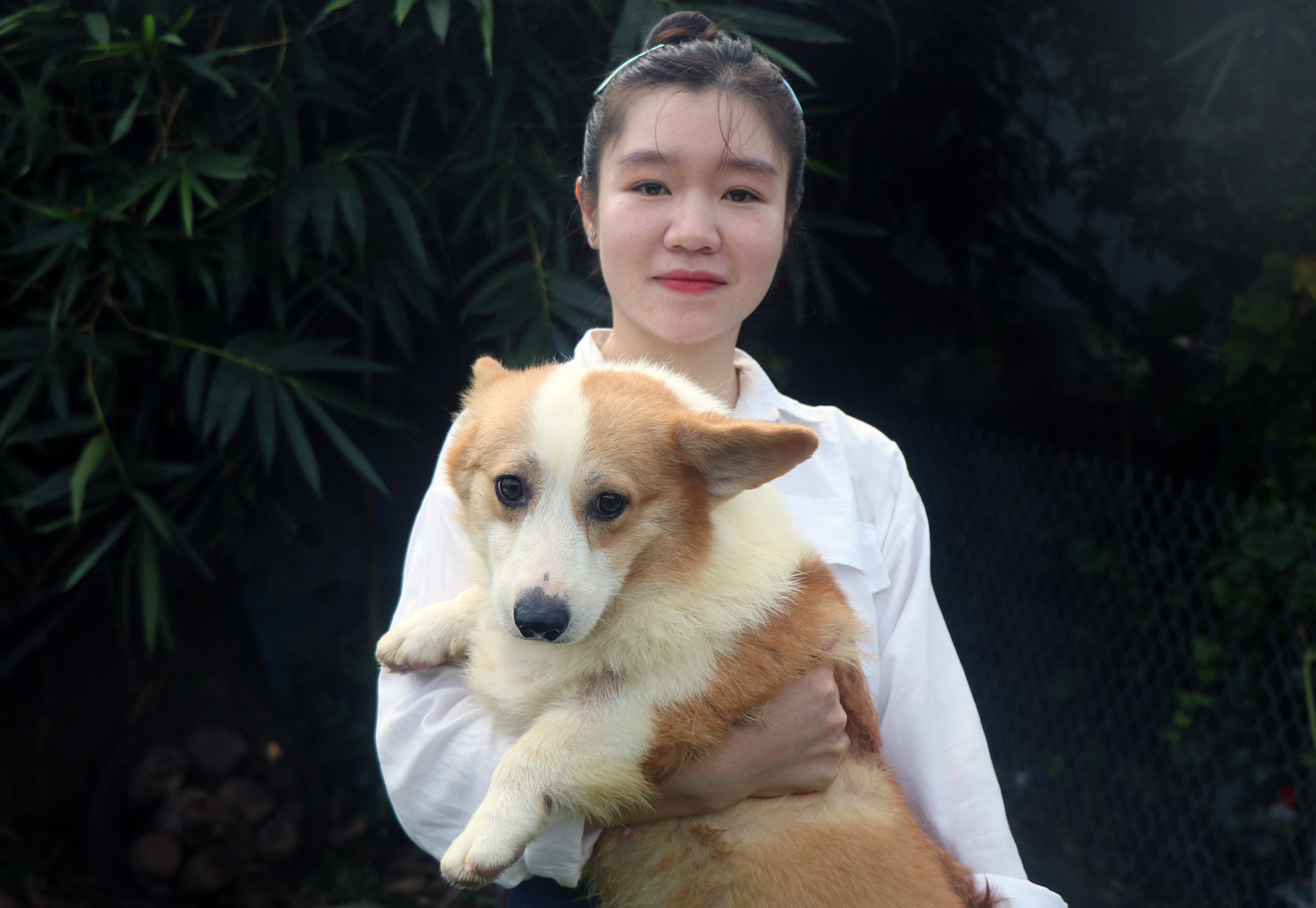 Dog 5.jpg