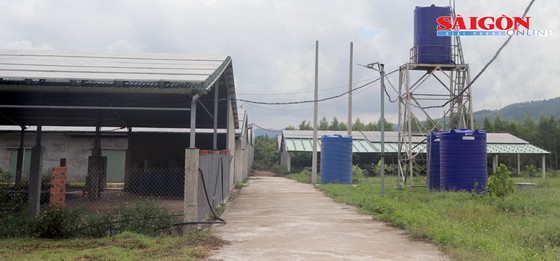 Trang trại trống không, toàn áp mái điện mặt trời thuộc Công ty TNHH Đầu tư Nam Việt Hưng Phú Yên. Ảnh: PHƯƠNG ĐÔNG ảnh 3