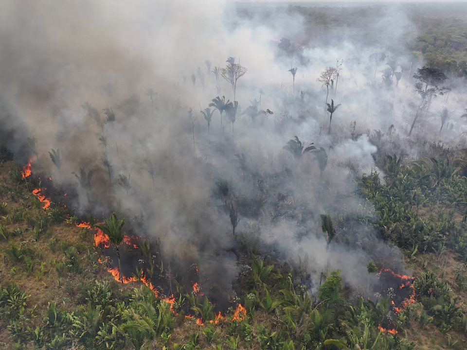 L'Amérique du Sud bat son record en chiffres 1