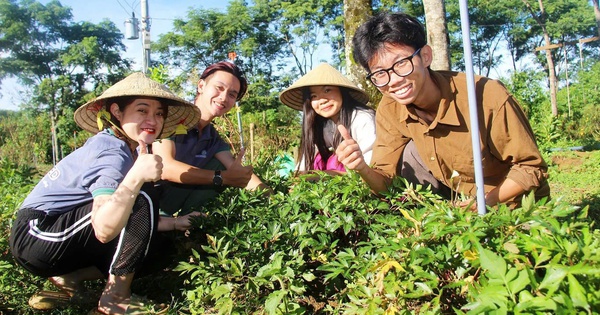 Young girl "leaves the city for the forest" with the dream of bringing benefits to the community