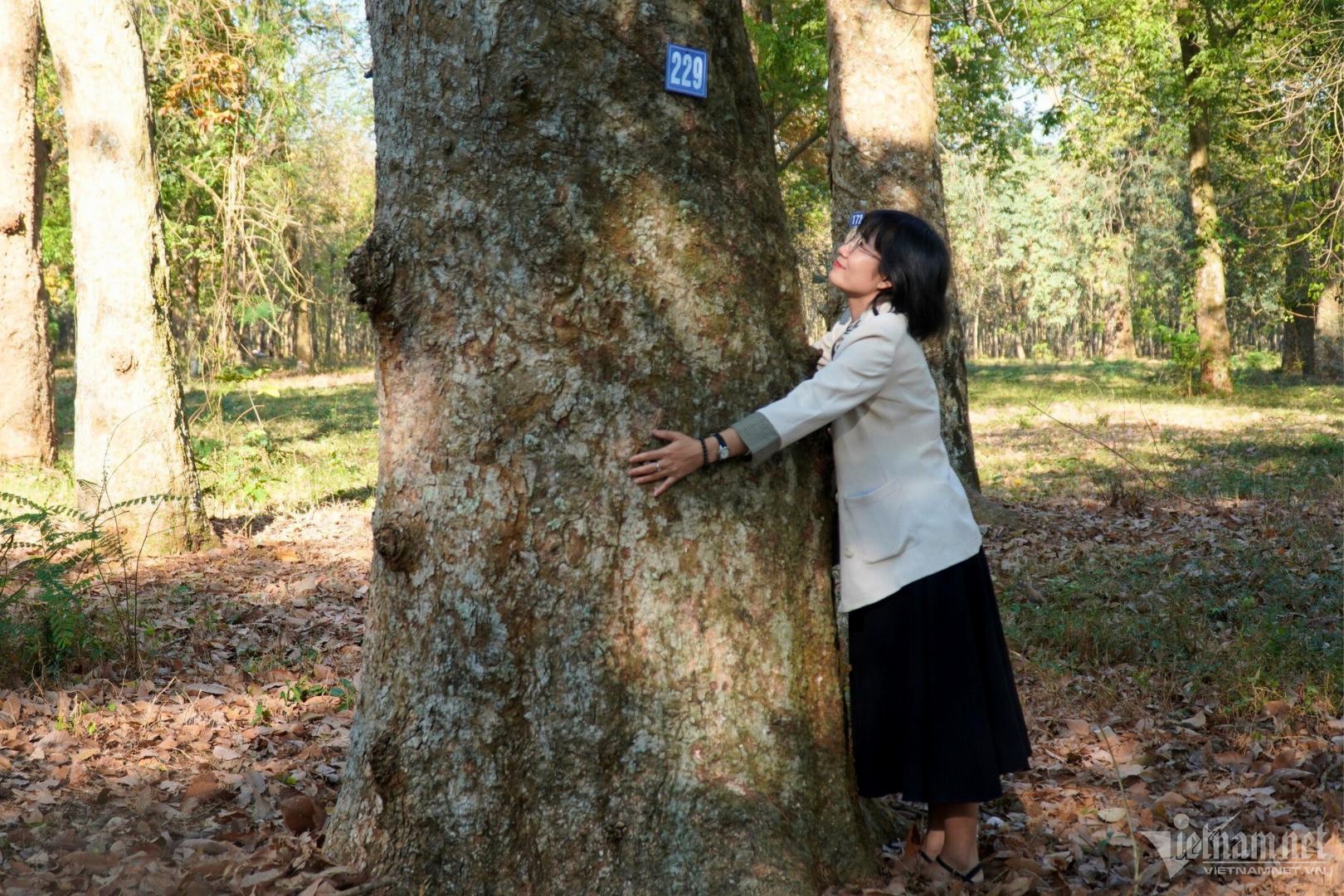 Chiêm ngưỡng 'báu vật' hơn một thế kỷ ẩn mình ở Đồng Nai ảnh 3