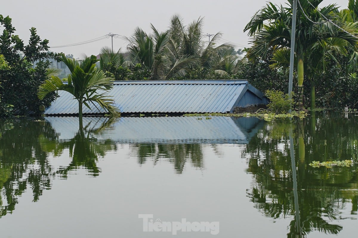 ‘น้ำท่วมป่า’ ท่วมบ้านเรือนกว่าร้อยหลังในเขตชานเมืองฮานอย ภาพ 9