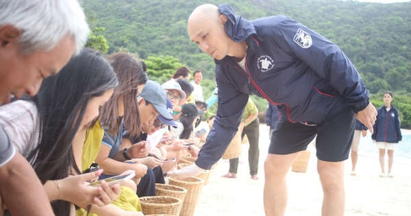 Rùa biển, loài động vật hoang dã bò lên một hòn đảo ở Bà Rịa-Vũng Tàu đẻ thành công 226 ổ trứng