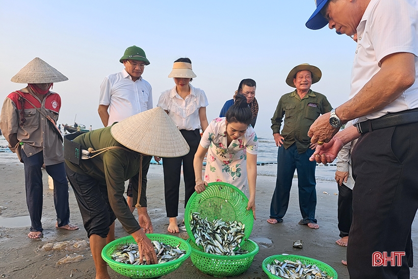 Highlights of the sea tourism festival in Cuong Gian commune