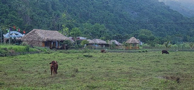 Das Dorf Viet Hai hat nur 293 Einwohner. Foto von Tien Bao 