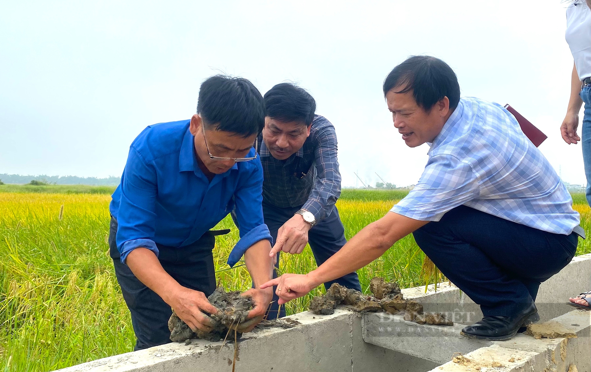 Người tiên phong đưa ứng dụng tiến bộ khoa học kỹ thuật vào sản xuất nông nghiệp ở Hà Tĩnh - Ảnh 6.