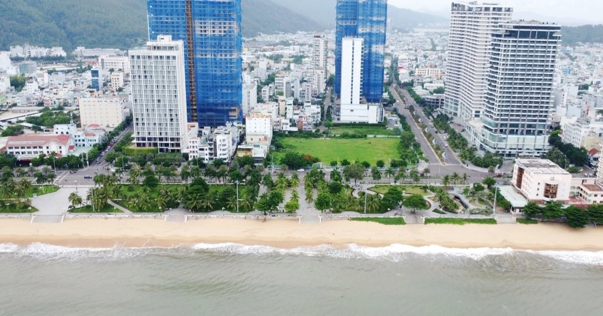 Looking for investors in the "golden land" area of ​​nearly 11,000m2 near Quy Nhon beach