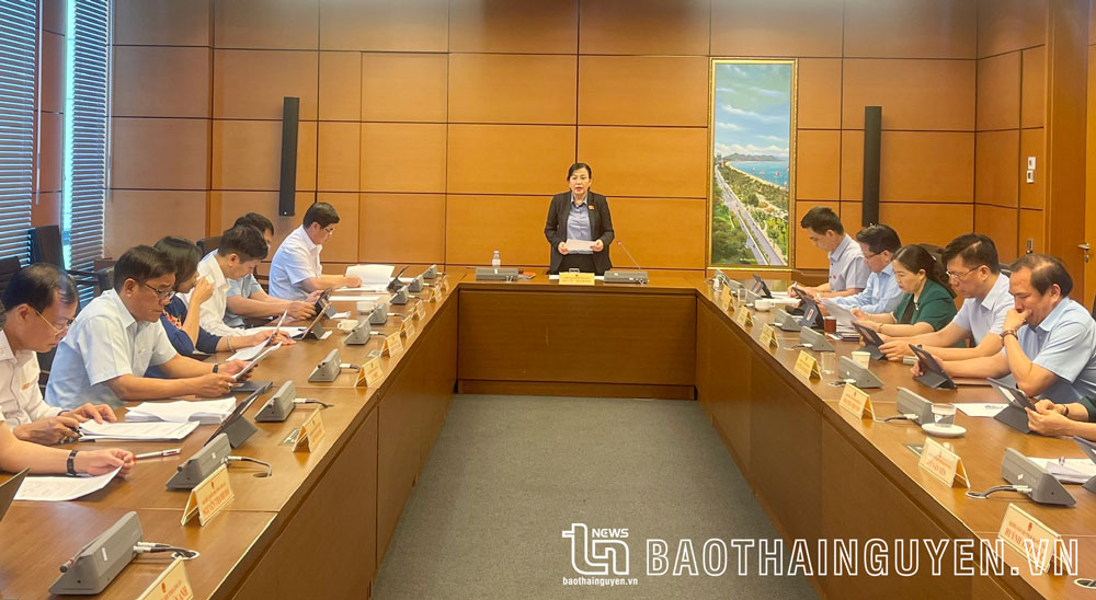 Đồng chí Nguyễn Thanh Hải, Uỷ viên Trung ương Đảng, Bí thư Tỉnh uỷ, Trưởng Đoàn ĐBQH tỉnh Thái Nguyên, chủ trì thảo luận tổ 7.