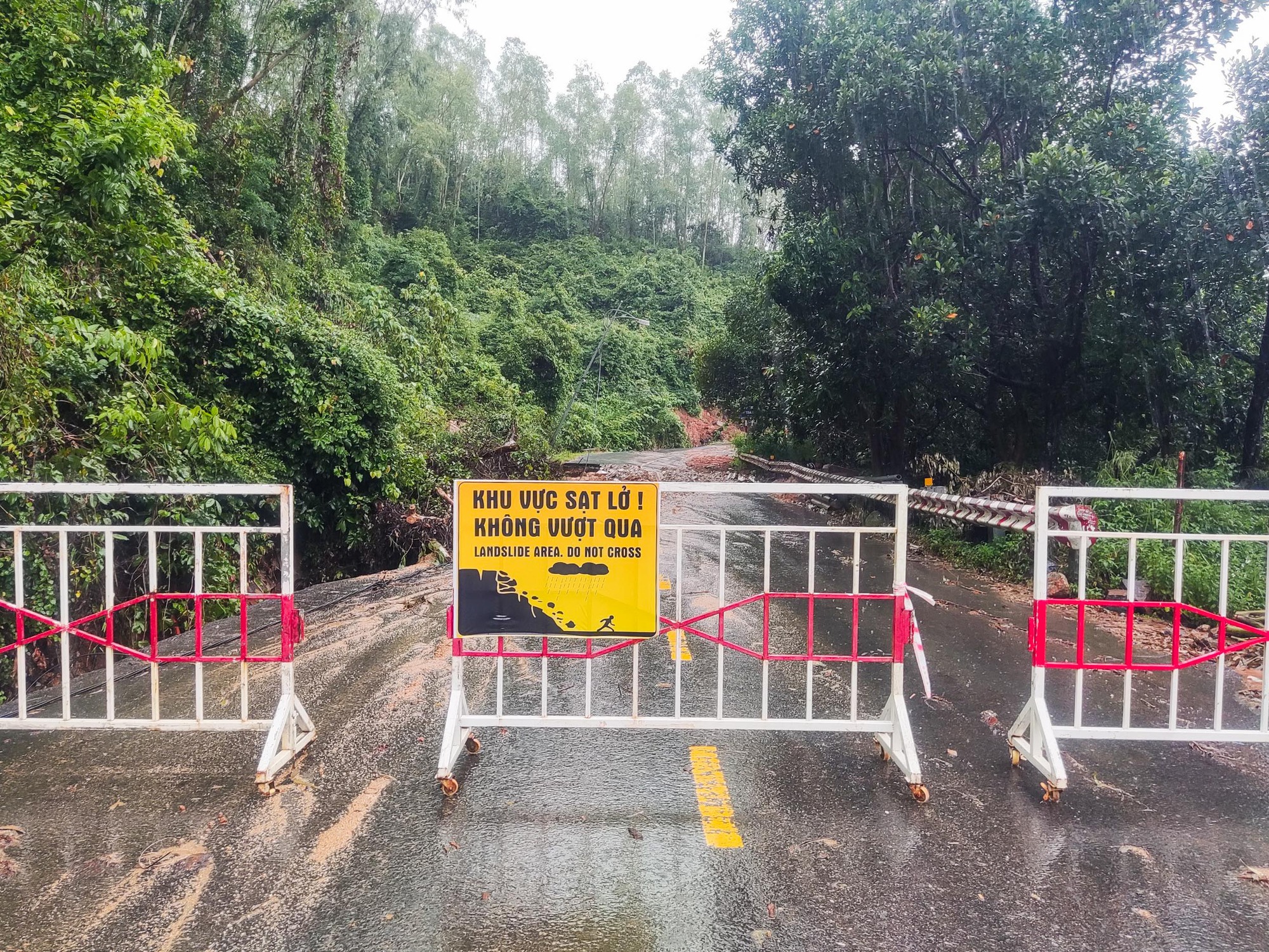 Đà Nẵng: Cấm người dân lên bán đảo Sơn Trà để dùng thuốc nổ phá đá - Ảnh 2.