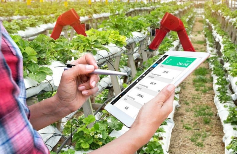 Opportunities for cooperation and investment in the field of smart agriculture