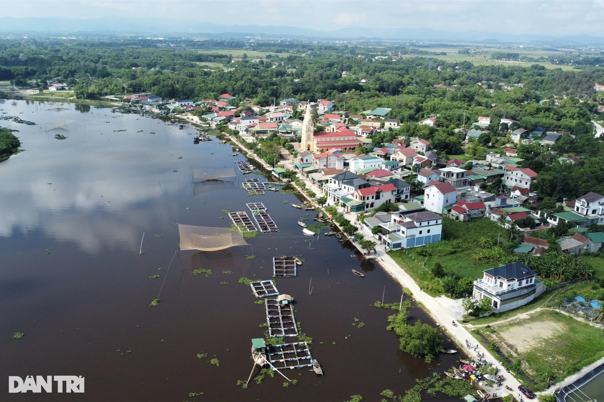 Hàng chục tấn cá lồng chết phơi bụng, người nuôi điêu đứng - 1