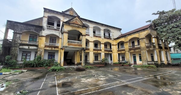 A series of abandoned headquarters located on "golden land" have become hotspots for social evils.