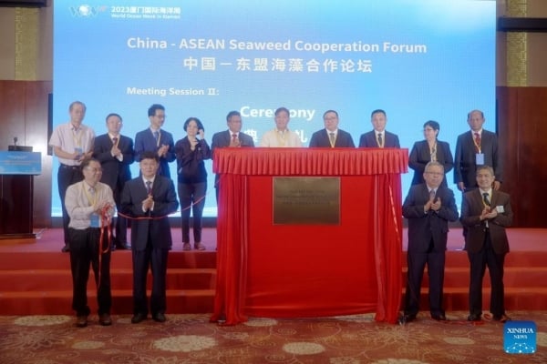 China, ASEAN promote cooperation to develop seaweed industry