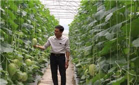 High-tech agriculture helps ethnic minorities change production habits