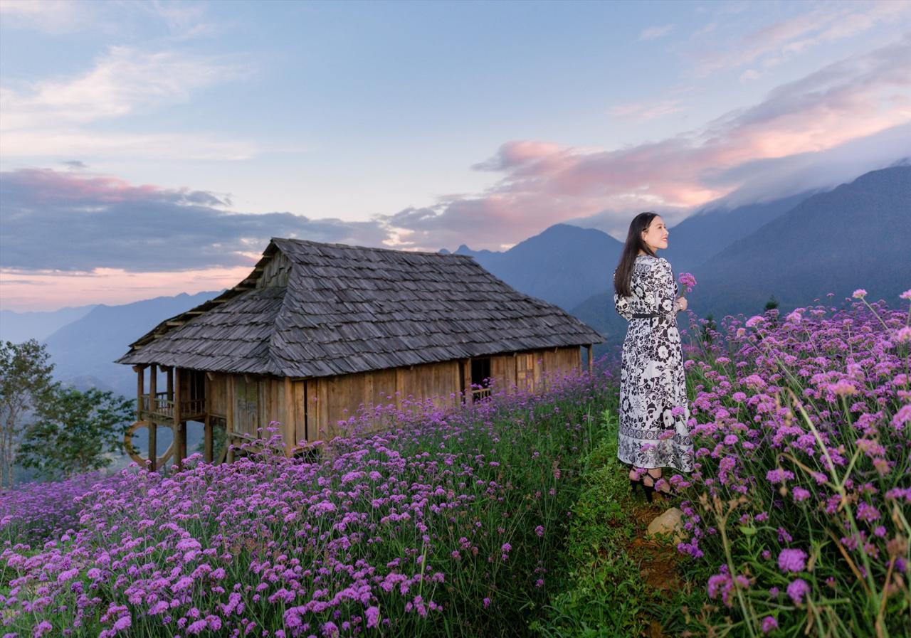 The traditional indigenous stilt house and scattered among the flower fields are swings and rustic chairs, both a place to stop and admire the scenery and a backdrop for impressive photos with the purple flower fields.